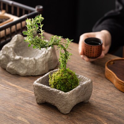 文竹苔藓球附石菖蒲巴西木托盘创意盆栽盆景盆仿石头水培花盆陶瓷