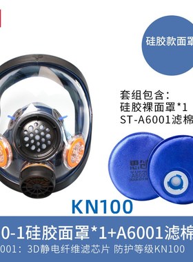 思创防尘滤棉滤芯A6001过滤棉防工业粉尘电焊烟颗粒物防异味KN100