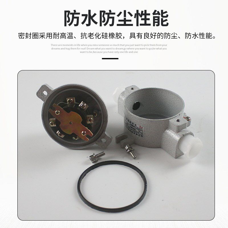 SW10单控双控防爆照明开关 AC380/220V防水防尘防爆控制转换开关