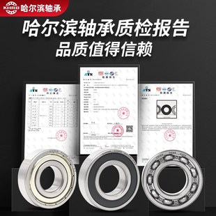 6202 6305 6207 6204 哈尔滨免维护轴承6206型号大全6203防尘6205