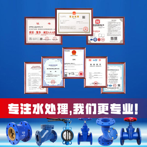 抽水泵底阀内螺纹丝扣吸水阀H12X-10铸铁止回阀DN2540 50 65 80