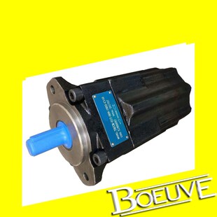 1R00 丹尼逊DENISON系列叶片泵T6C 025