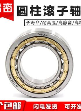 日本进口NSK圆柱滚子轴承N NU NJ RN NUP1040 1044 1048 1052 EM