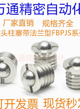 球头柱塞带法兰型 替代米 FBPJS5/6/8/10/12/16