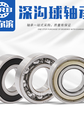 哈尔滨轴承6014 6015 6016 6017 6018 6019 6020 2RZ ZZ