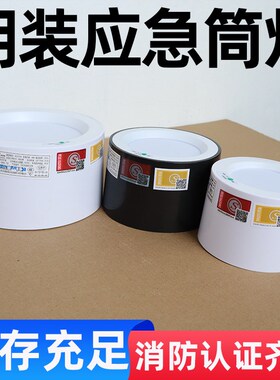 高亮度2.5寸3.5寸4寸停电照明消防应J急一体吸顶灯明装led筒灯