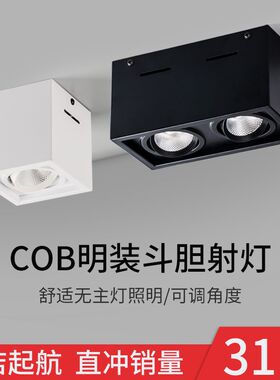 明装斗胆灯超薄双头筒灯客厅吸顶灯卧室四头防炫射灯三头格栅灯