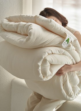 A类大豆蛋白纤维被芯加厚冬被四季通用柔软单人双人柔软春秋被子