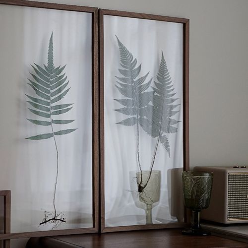 成品带根植物相册自然植物标本摆台装饰画透明实木生日礼物高级感