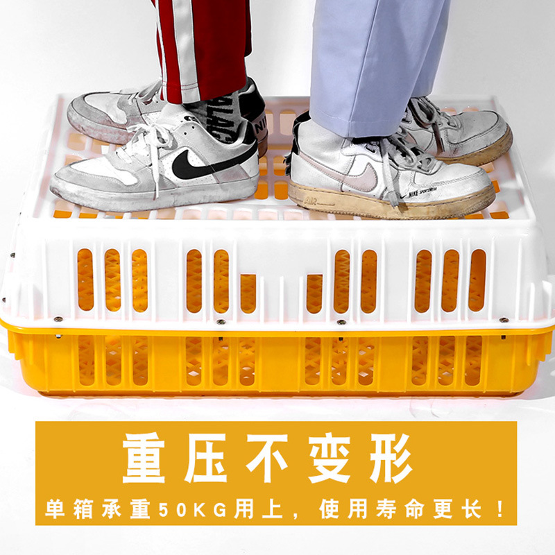 推荐养殖塑料g周转箱鸡笼鸽子笼鸡鸭塑料运输笼家用大号加厚加重