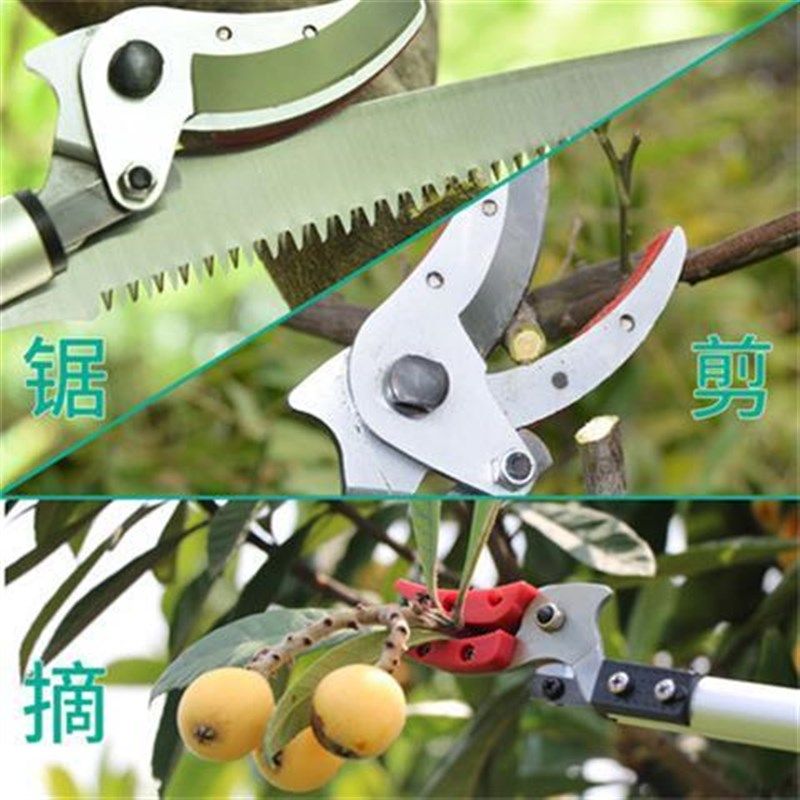 。摘果神器高空摘果器果树修枝剪高枝锯子采摘神器升级款摘果神器,农用物资,苗木固定器/支撑器,淘宝优惠券,粉丝福利购,淘宝优惠卷