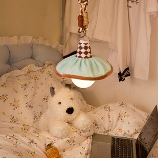 多巴胺夜晚小夜灯宿舍床头灯床帘内用充电挂灯创意氛T围灯2024新