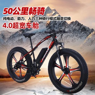 电动山地自行车助力锂电雪地车一体轮变速沙滩单车