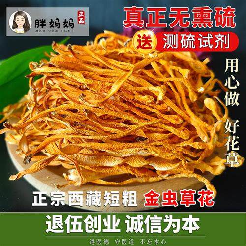 青藏虫草花500g干货正品特野山生级金虫草菇煲汤材料一斤北虫草