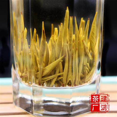茉莉花茶芽王浓香型老北京金针王2025新茶毛尖大白毫银针袋装罐装