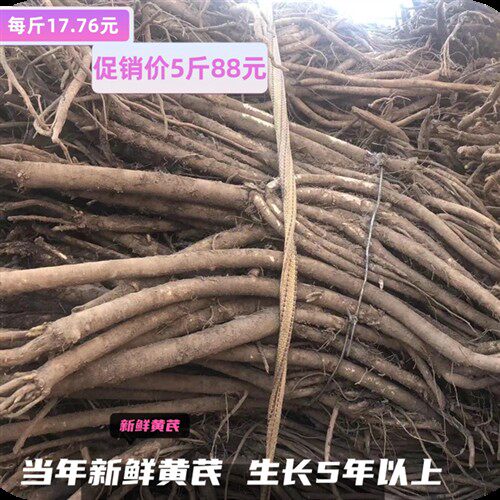 新鲜黄芪现挖特级无硫新鲜当归新鲜党参500克精选包邮量大可