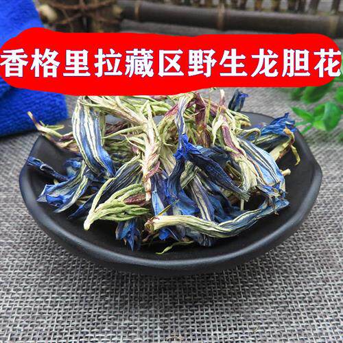 云南藏区野生龙胆花茶中药材野生养肝护肝养生茶干货地胆头观音草
