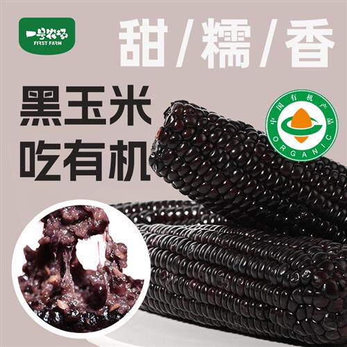 东北有机黑糯玉米鲜甜独立真空包装锁鲜早餐代餐有机苞米棒1.2KG