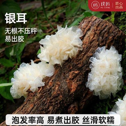 银耳干货不熏硫易出胶无根不压称煮莲子百合红枣枸杞羹官方旗舰店