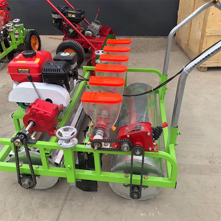 汽油手推精播机不漏种紫苏点播机大棚菠菜播种机