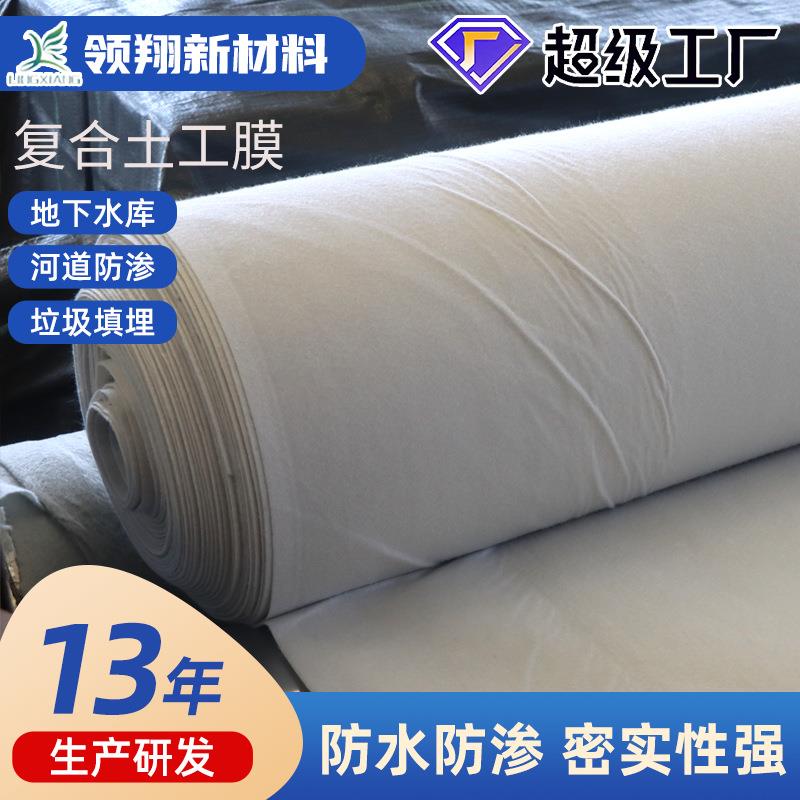 复合土工膜防水防漏防渗膜两布一膜鱼塘河道防漏水加厚复合土工膜