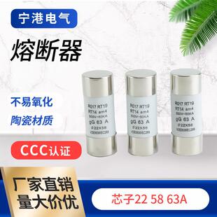 宁港现货供应陶瓷材质保险丝电流保险丝管22/58/63A熔芯熔断器