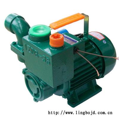 牌1寸ZD-65B小型家用高旋涡式自吸压泵750925W自吸旋水涡清水泵