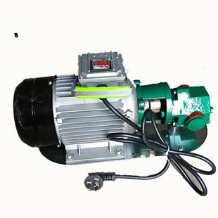 供应便捷式 75齿轮泵小流量齿轮泵加工设备 手提小型WCB