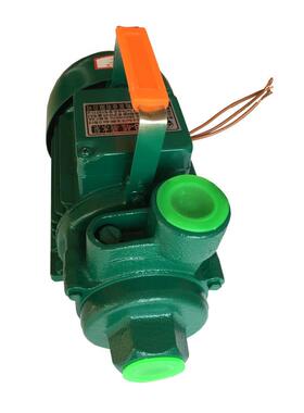 27牌DB-小35型清旋涡式高压家用水泵3310W功率保障厂价直销