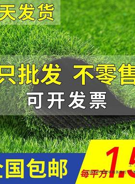 草坪假草围挡塑料绿F96M5S68植垫绿人造人工皮幼儿园户外装色草人