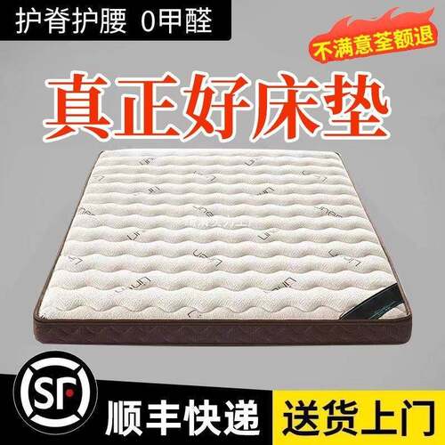 天然椰棕床垫棕榈垫偏硬护脊儿童棕垫黄麻任意尺寸折叠榻榻米垫子