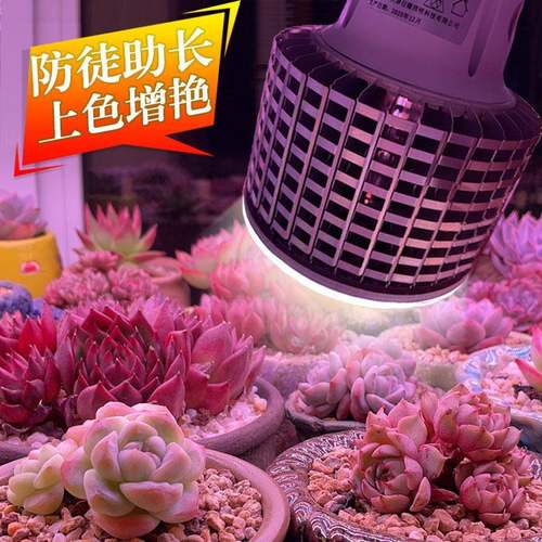 大棚多肉补光灯蔬菜兰草花卉家用上色全光谱仿太阳植物生长灯泡