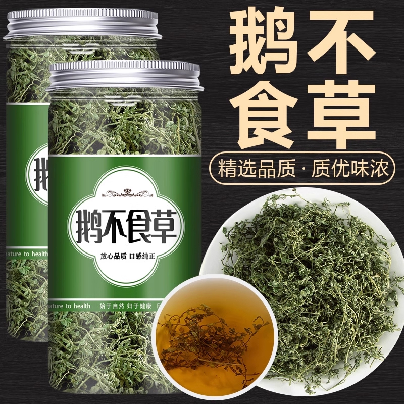 鹅不食草正品泡水喝新鲜