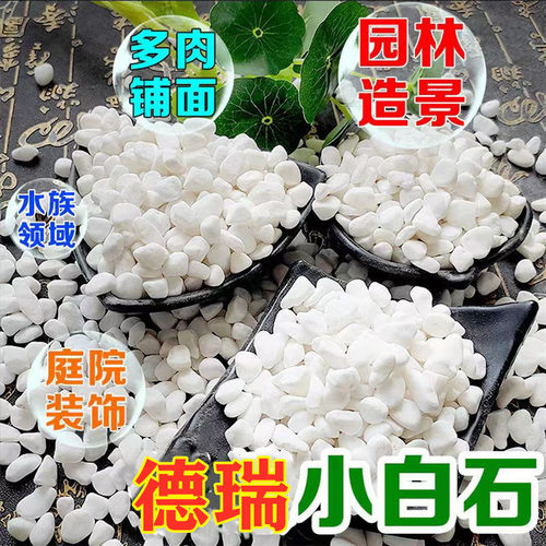 厂家白色鹅卵石 园林景观雪花白砾石白石子庭院造景铺路白色石头