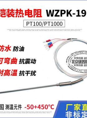 铠装PT100铂热电阻PT1000温度探头探针式温度传感器WZPK-191针型