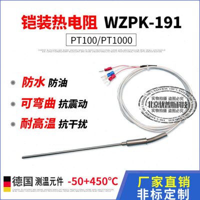 铠装PT100铂热电阻PT1000温度探头探针式温度传感器WZPK-191针型