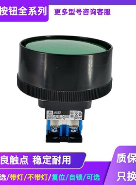 原装冲床大头按钮开关AR30B2R双手操作按钮AR30B2R-11G 10G/R