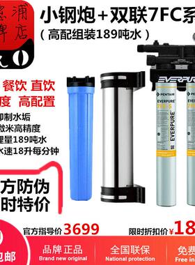 爱惠浦双联MC2净水器7FC-S商用大流量奶茶店咖啡制冰机直饮水过滤