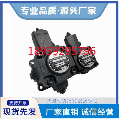 EALY弋力VPE-F25/30/35/45 VPE-F40-D-10 VPE-40D-9T变量叶片泵