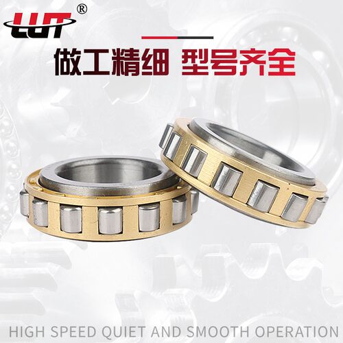 圆柱滚子轴承RN305 306 307 308 309 310 311 312 328M