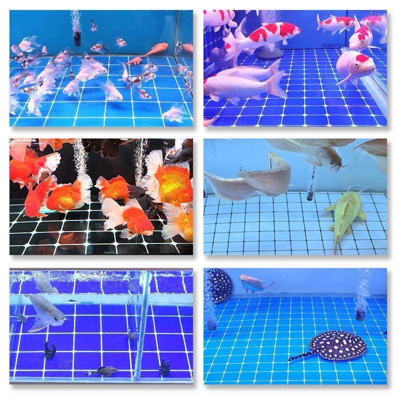 蓝缸方格子鱼贴高清马赛克贴黑色海色池鲜NSV装饰不干胶贴纸,包装,不干胶标签,淘宝优惠券,粉丝福利购,淘宝优惠卷