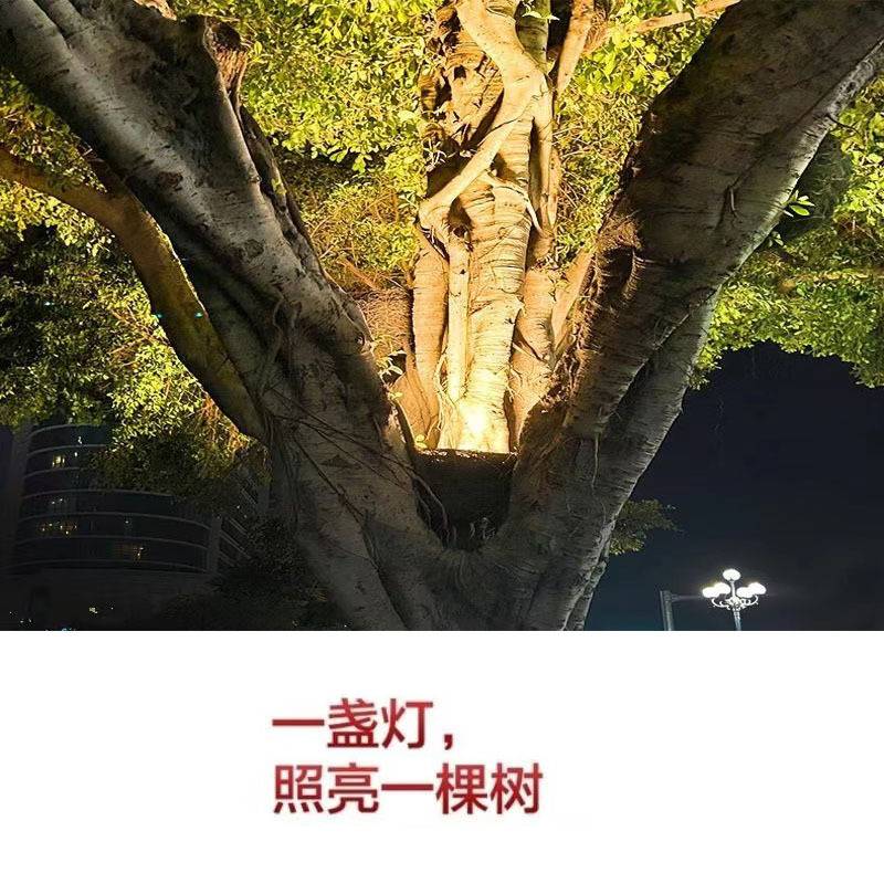 LED鸟窝灯园林公园花园庭院鸟巢照树灯户外防水景观灯射树投光灯