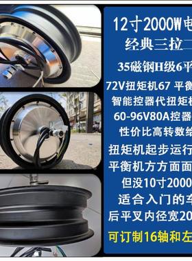 5tsdu+sdy电机12寸100w2003000ww50000w瓦片电摩大功率