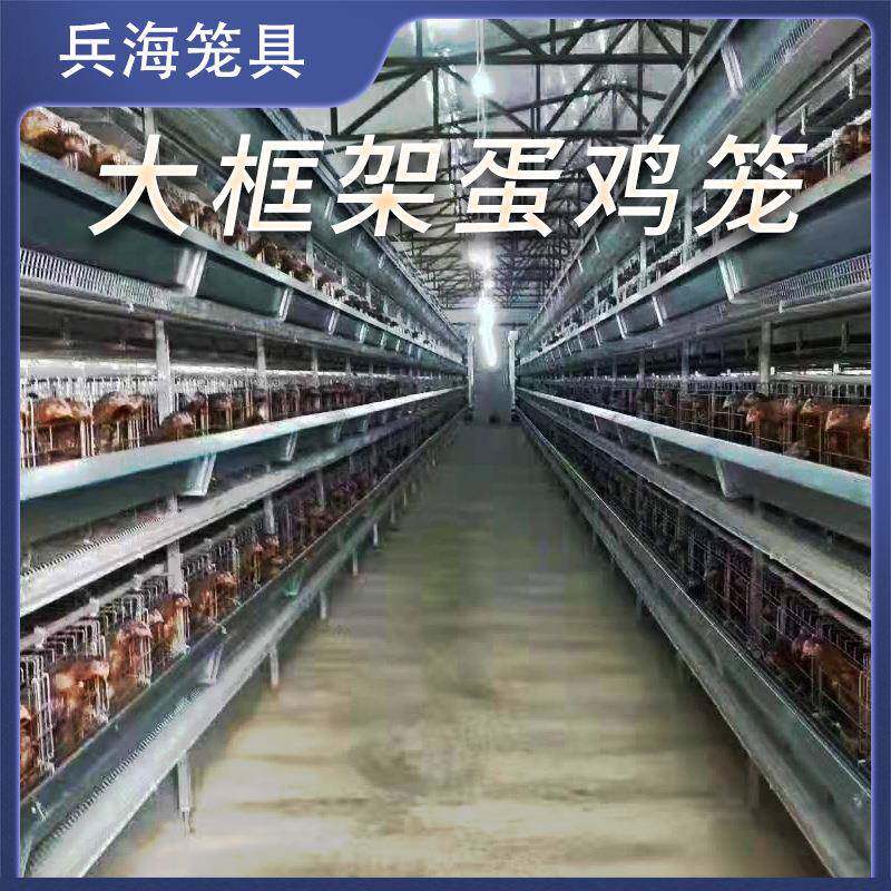 层殖叠架蛋鸡笼养殖场大层叠框架式鸡笼自HTB动式化框养鸡笼厂家