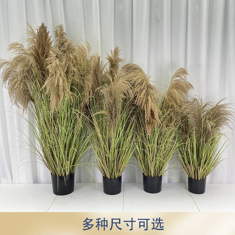 组合造景干花大头芦苇草叶仿真植物假绿植大型盆栽装饰假盆栽带盆