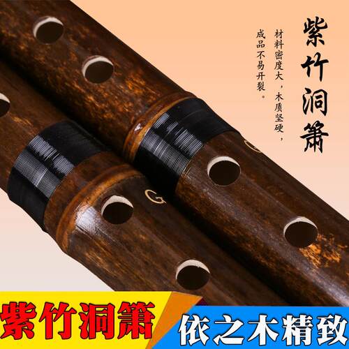 箫紫短箫专洞朴SSB箫初学古业短箫乐竹器送配件