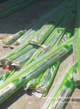 PP过R绿色家芯ICZ装瓷管配件4弯分20头三通直通内牙弯桥弯麦太保