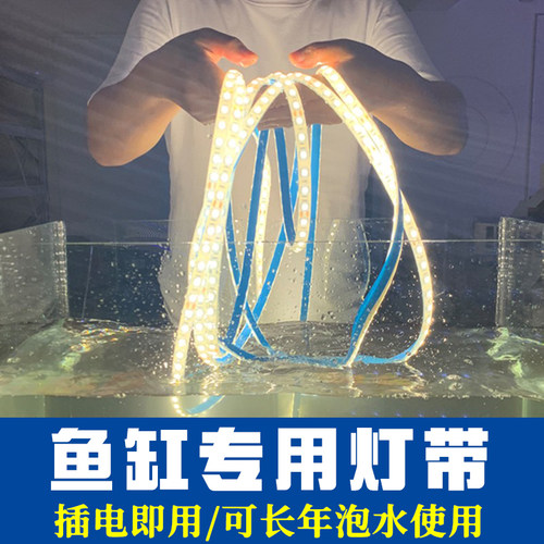 鱼缸专用灯带户外室外防水led超亮庭院亮化装饰24V低压灯带条自粘