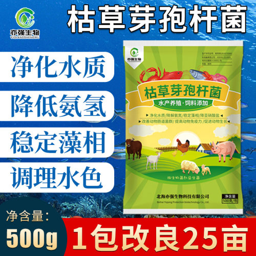 水产枯草芽孢杆菌净化水质降解亚硝酸盐氨氮除蓝藻肥水净水专用菌