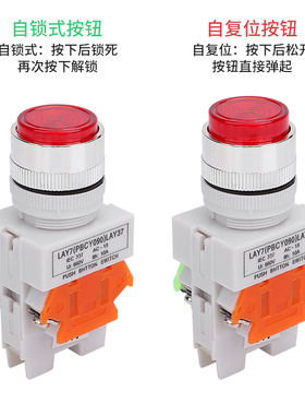带灯按钮开关LAY37-11DNZS(PBCY090)自复位自锁220V一开一闭 22MM